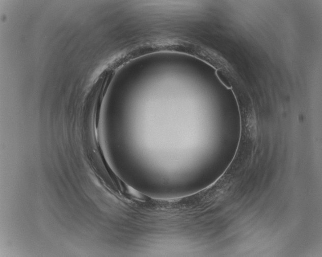 X0000068900732200605122059