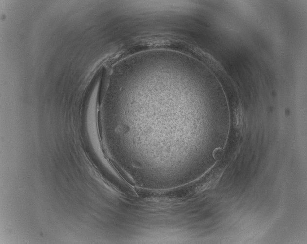 X0000068900733200605122059