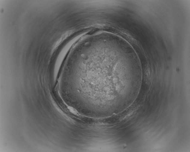 X0000068900734200605122059