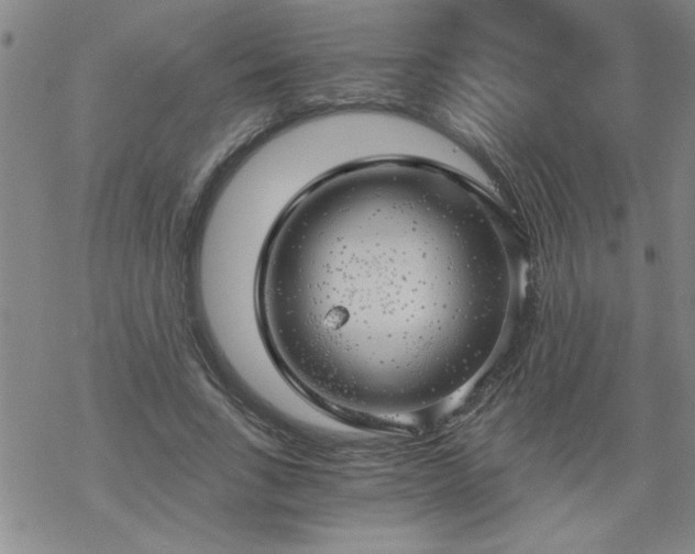 X0000068900735200605122059