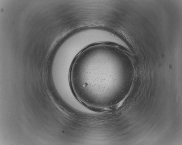 X0000068900736200605122059