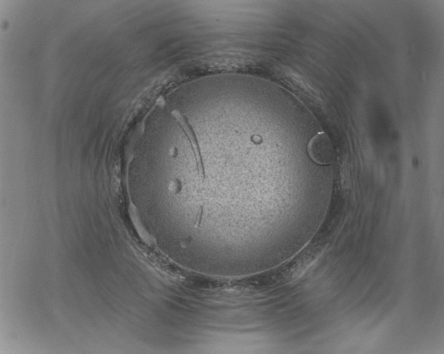 X0000068900737200605122059