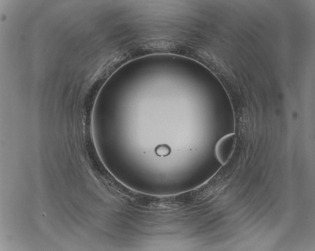 X0000068900739200605122059