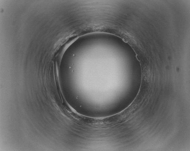 X0000068900740200605122059