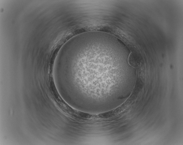 X0000068900742200605122059