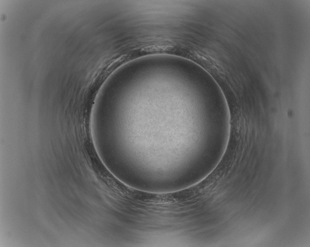 X0000068900743200605122059