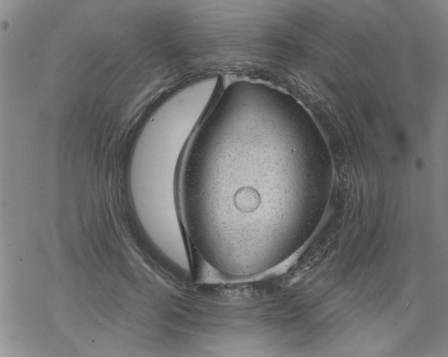 X0000068900744200605122059