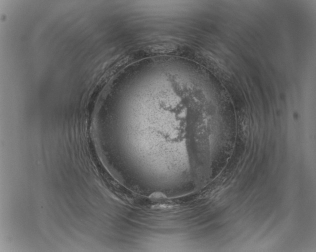 X0000068900745200605122059