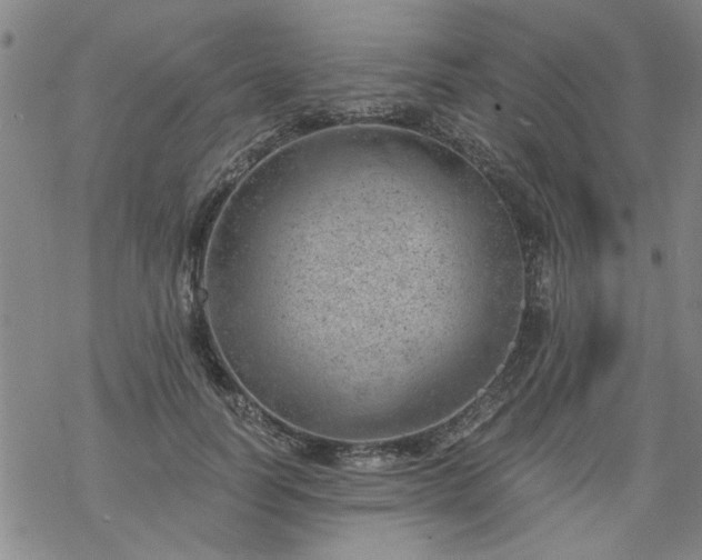 X0000068900746200605122059