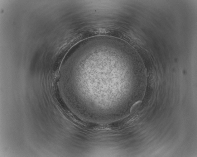 X0000068900747200605122059