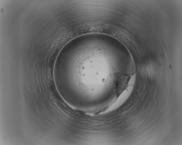 X0000068900748200605122059