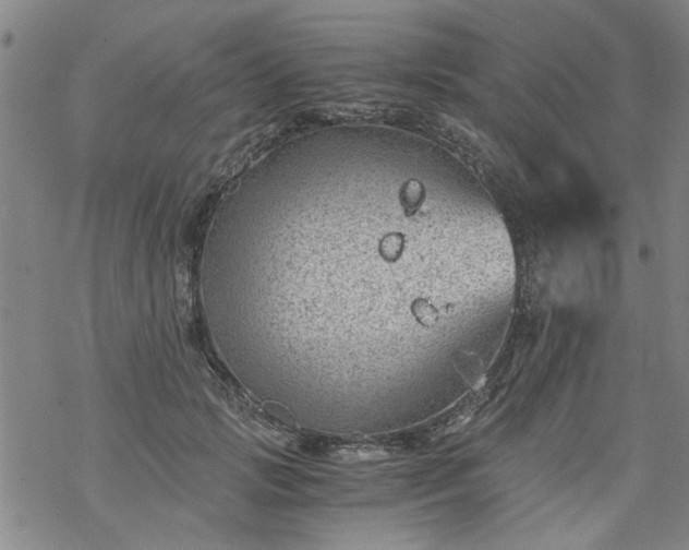 X0000068900749200605122059