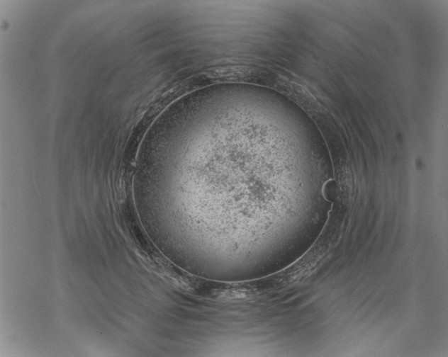 X0000068900751200605122059