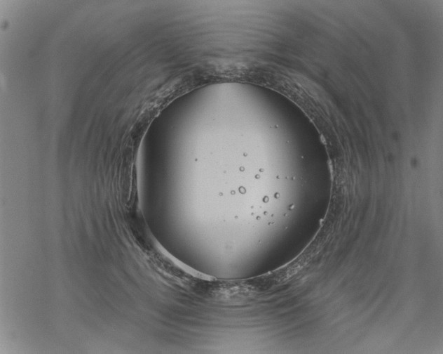 X0000068900752200605122059