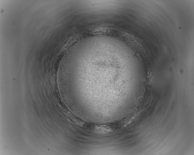 X0000068900753200605122059