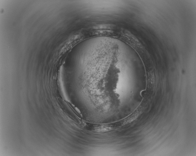 X0000068900754200605122059