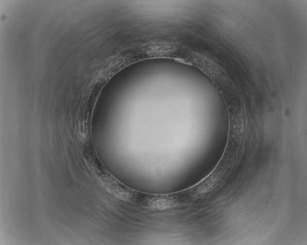 X0000068900755200605122059