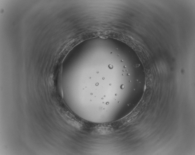 X0000068900756200605122059