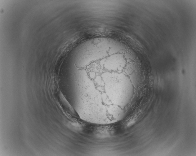 X0000068900757200605122059