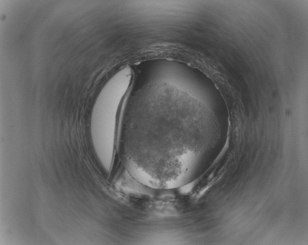 X0000068900758200605122059