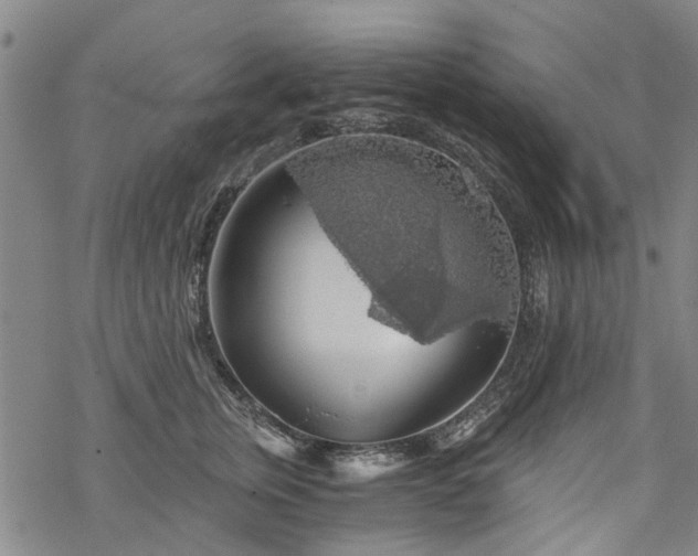 X0000068900759200605122100