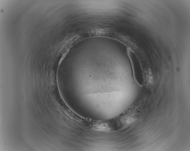 X0000068900760200605122100