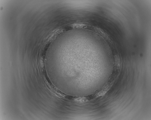 X0000068900761200605122100