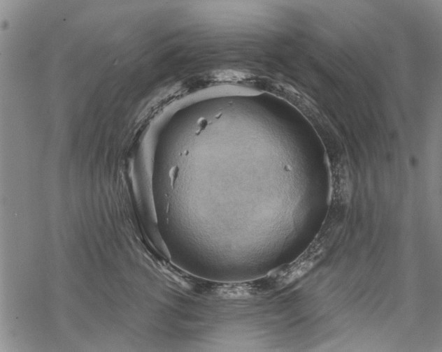 X0000068900762200605122100