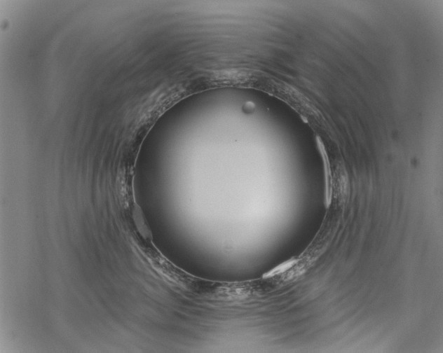 X0000068900764200605122100