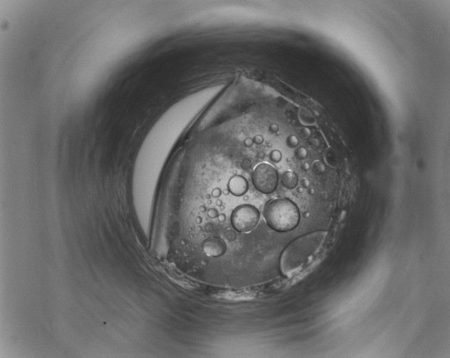 X0000068900765200605122100