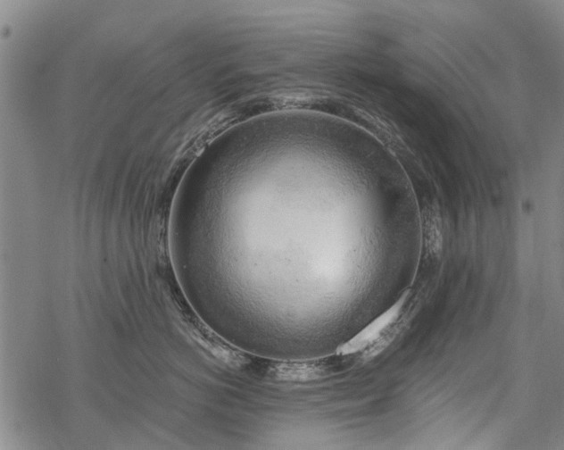 X0000068900766200605122100