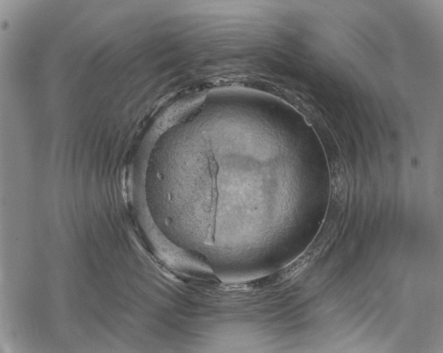 X0000068900767200605122100