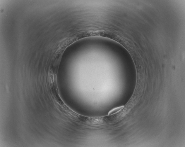 X0000068900768200605122100