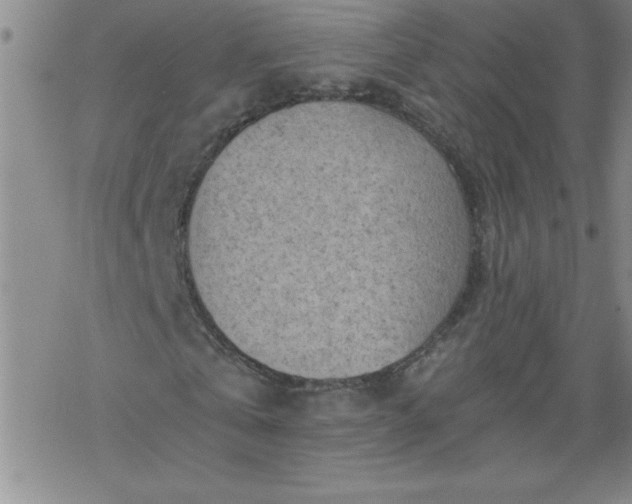 X0000068900769200605122059