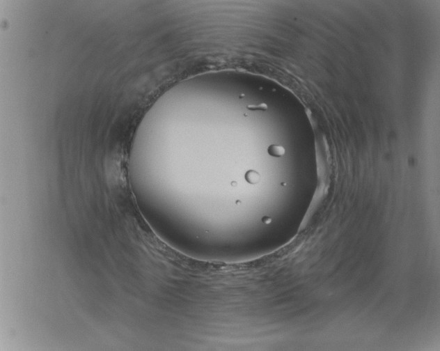 X0000068900770200605122059