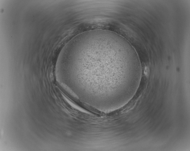 X0000068900771200605122059