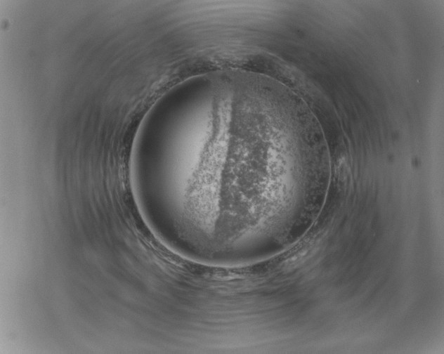 X0000068900772200605122059