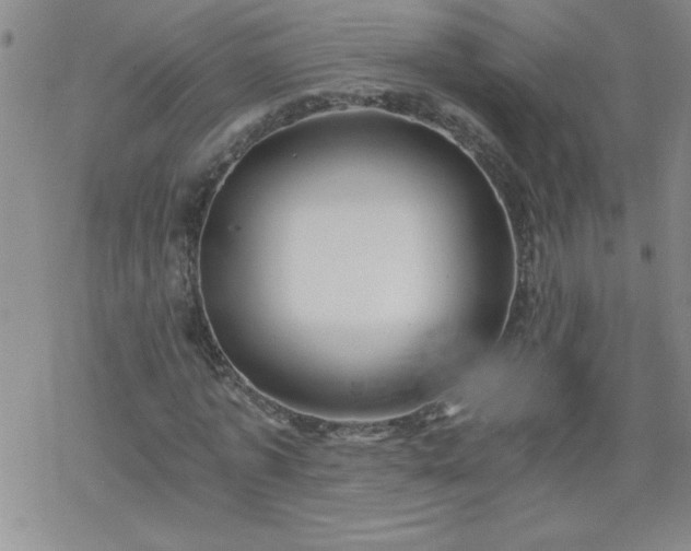 X0000068900773200605122059