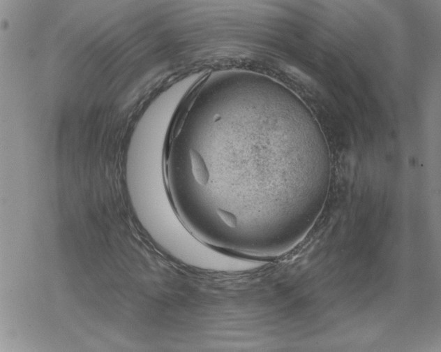 X0000068900774200605122059