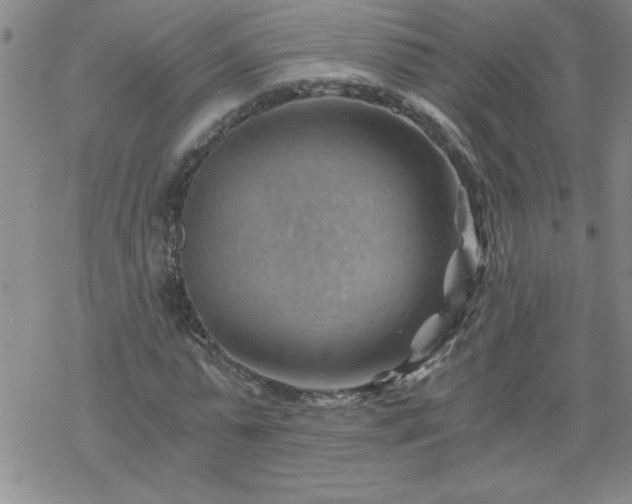 X0000068900775200605122059