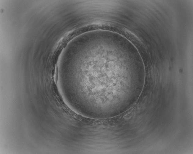 X0000068900776200605122059