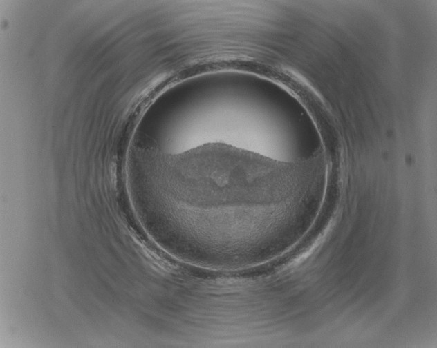 X0000068900777200605122059