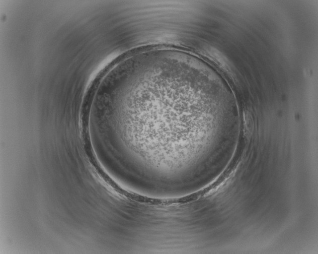 X0000068900780200605122059