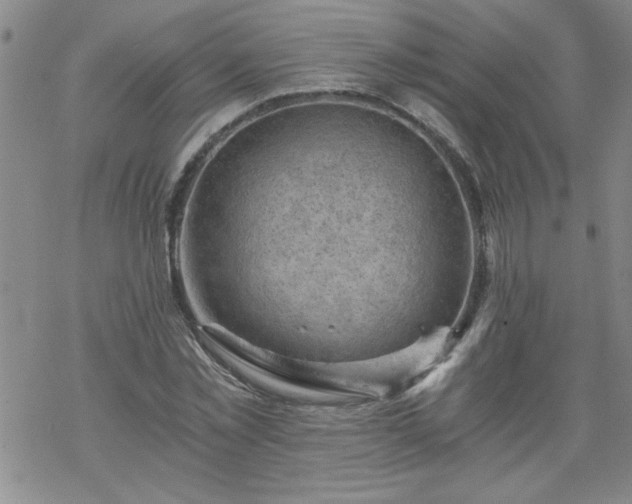 X0000068900781200605122059