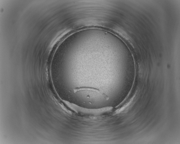 X0000068900782200605122059