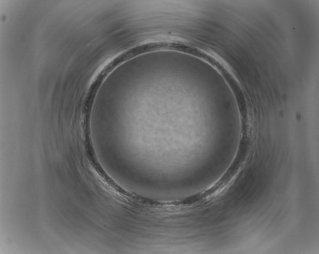 X0000068900783200605122059