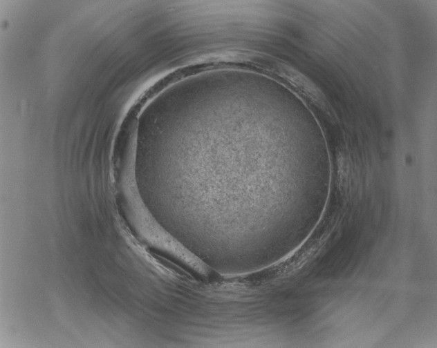 X0000068900784200605122059