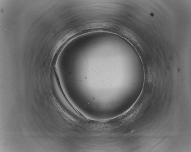 X0000068900786200605122059