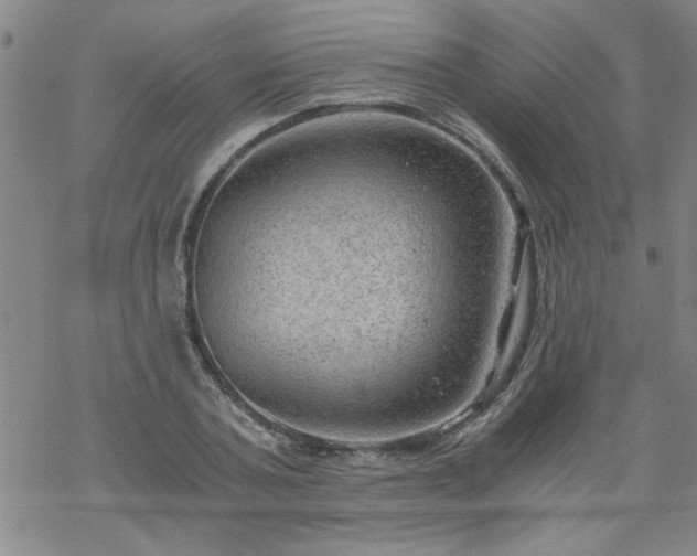 X0000068900787200605122059