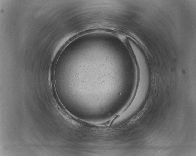 X0000068900788200605122059